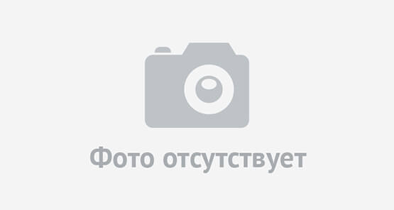 no photo no photo
